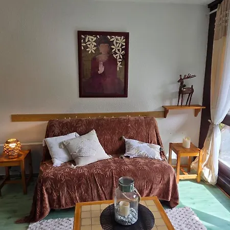Appartement Au Pied Des Pistes *